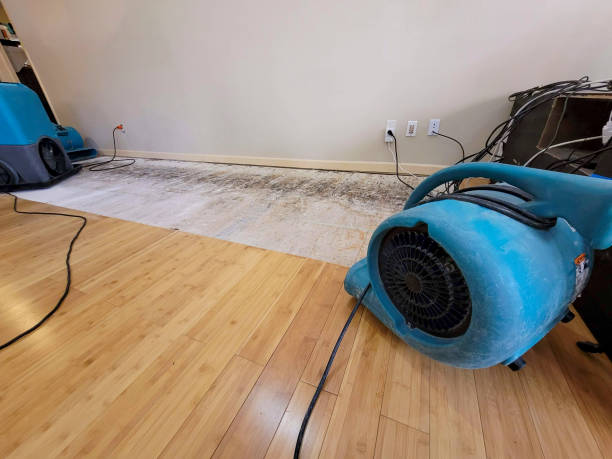 Professional Structural Drying technician working in O'Fallon, MO